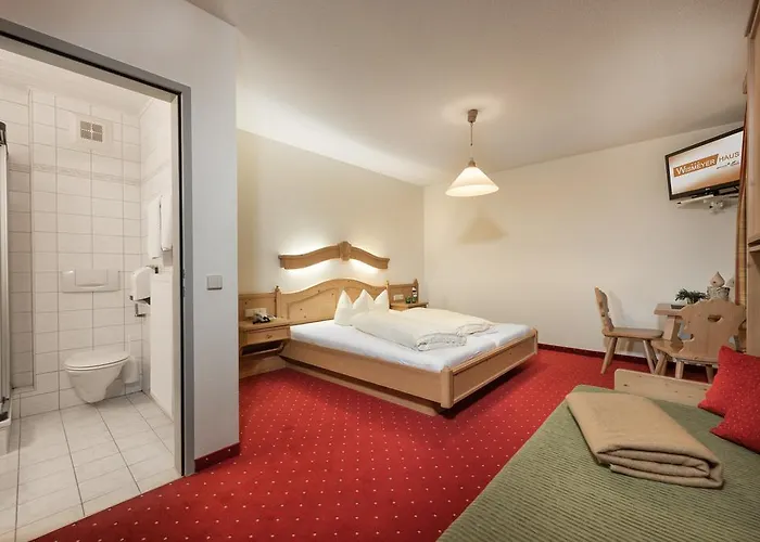 Wismeyer - Skihotel An Der Plattenkarbahn ホテル